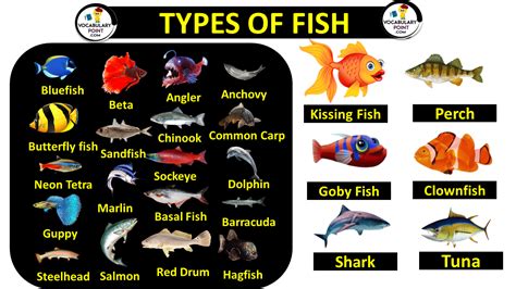 fish t|Explore 80+ Fish That Start with T (Common Names).